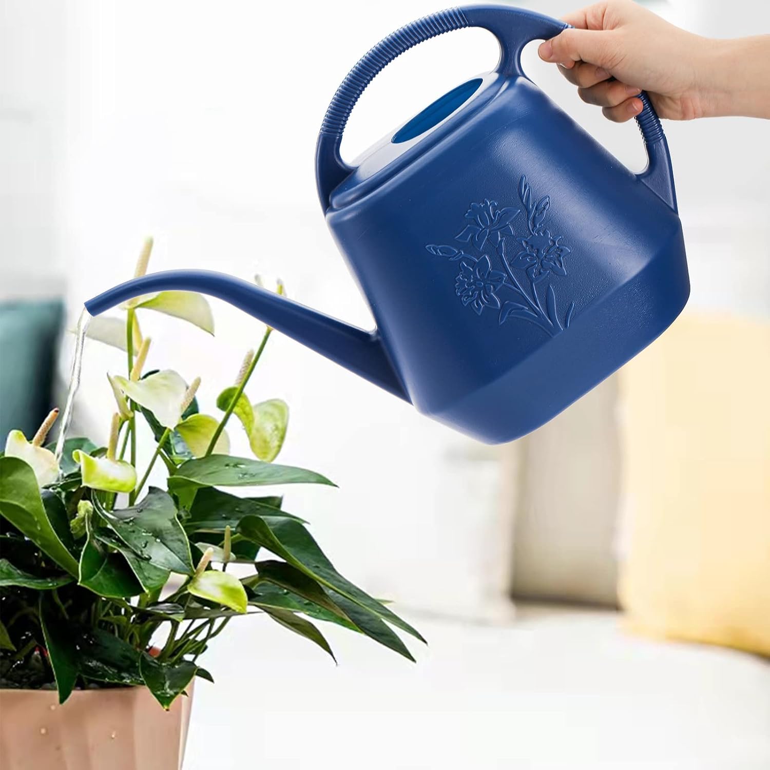 1-Gallon Plastic Watering Can  - đánh giá và giá Watering Can Long Spout