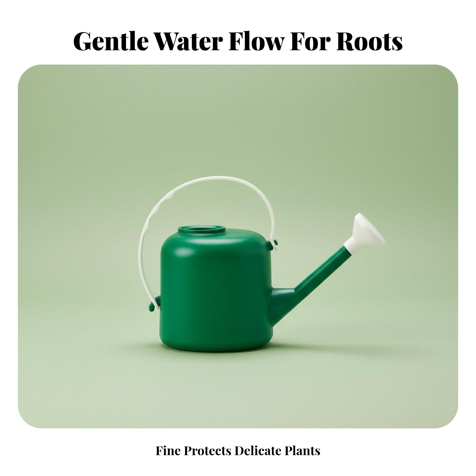 Long Spout Watering Can Large  - đánh giá và giá Watering Can Long Spout