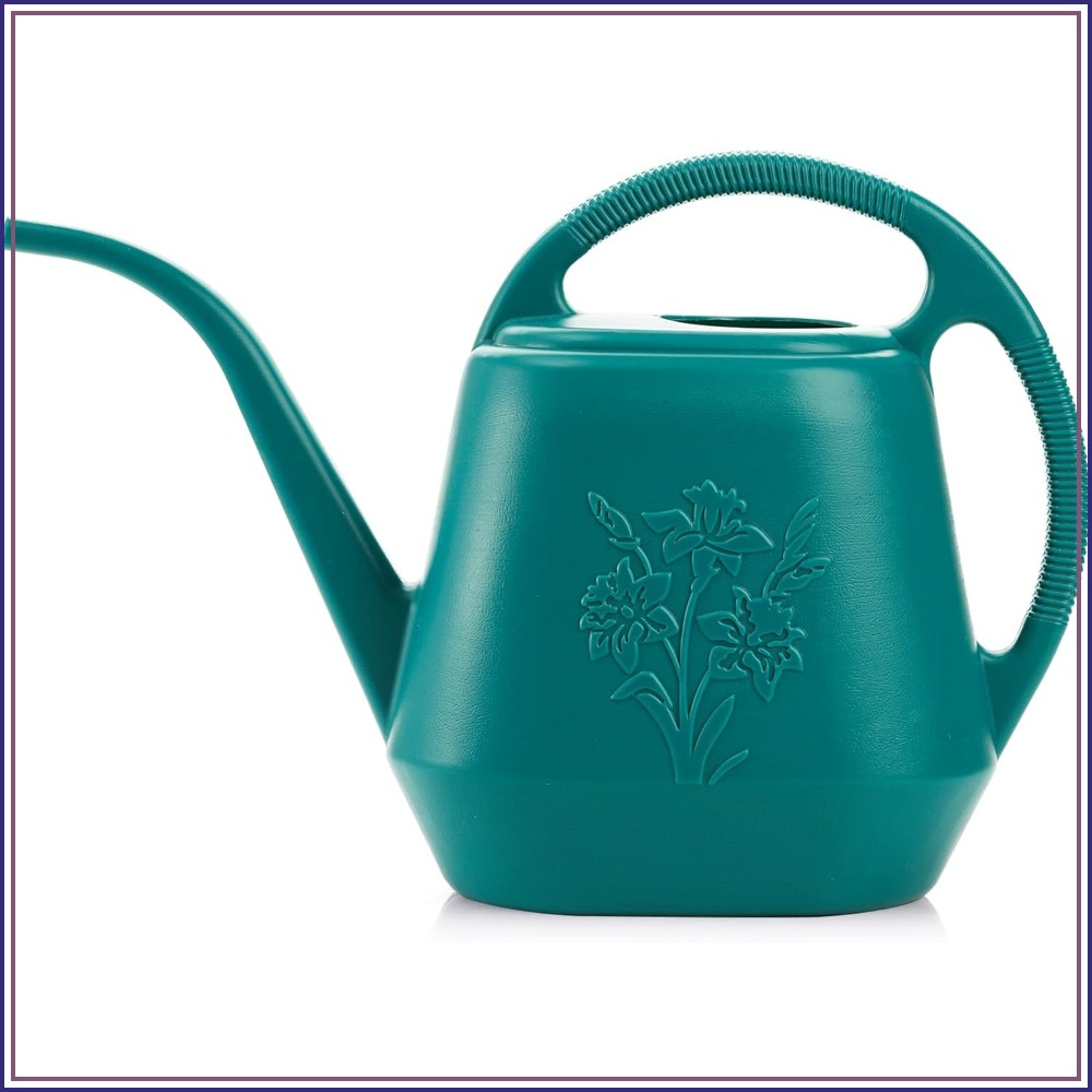 1-Gallon Plastic Watering Can  - đánh giá và giá Watering Can Long Spout