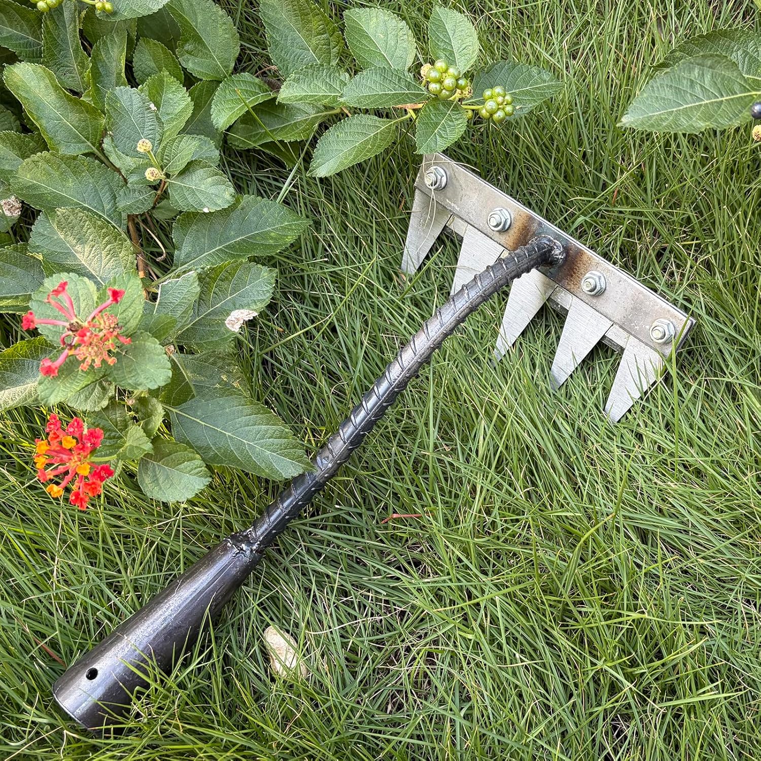 5/6/7/8 Teeth Iron Gardening H - đánh giá và giá Gardening Tools For Digging
