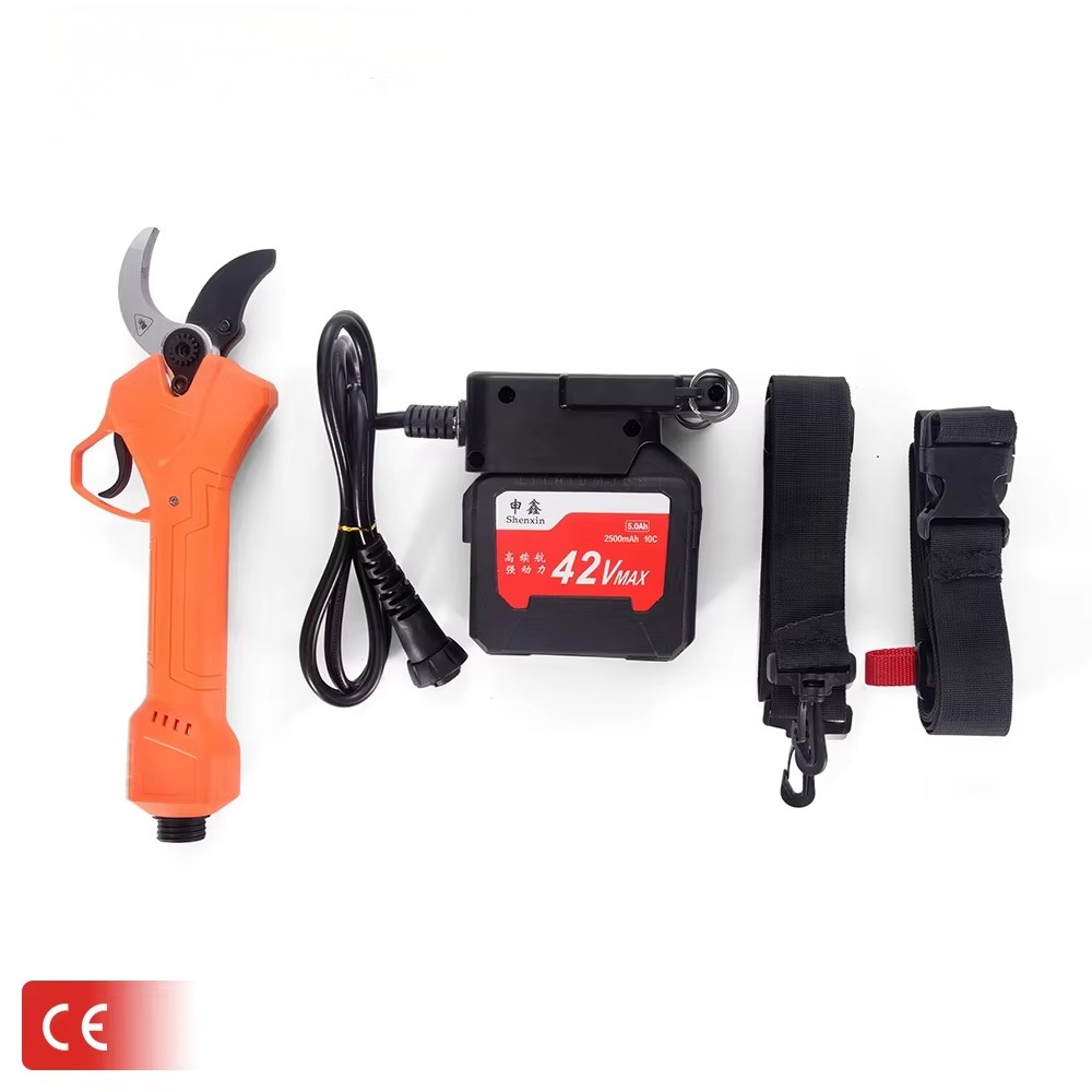 Hot Sale 42V Bodypack Electric - đánh giá và giá Gardening Tools For Sale