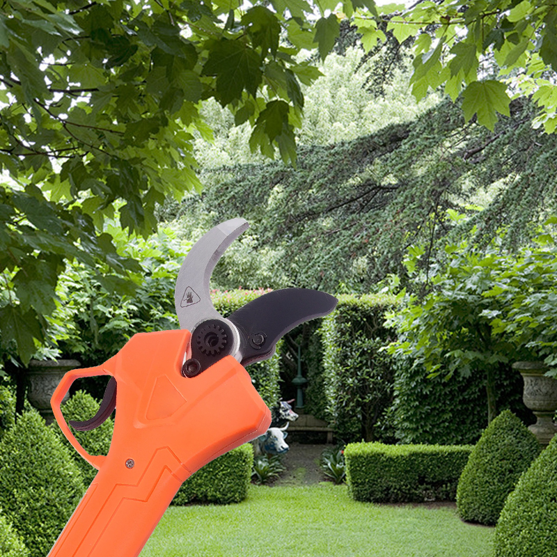 Hot Sale 42V Bodypack Electric - đánh giá và giá Gardening Tools For Sale