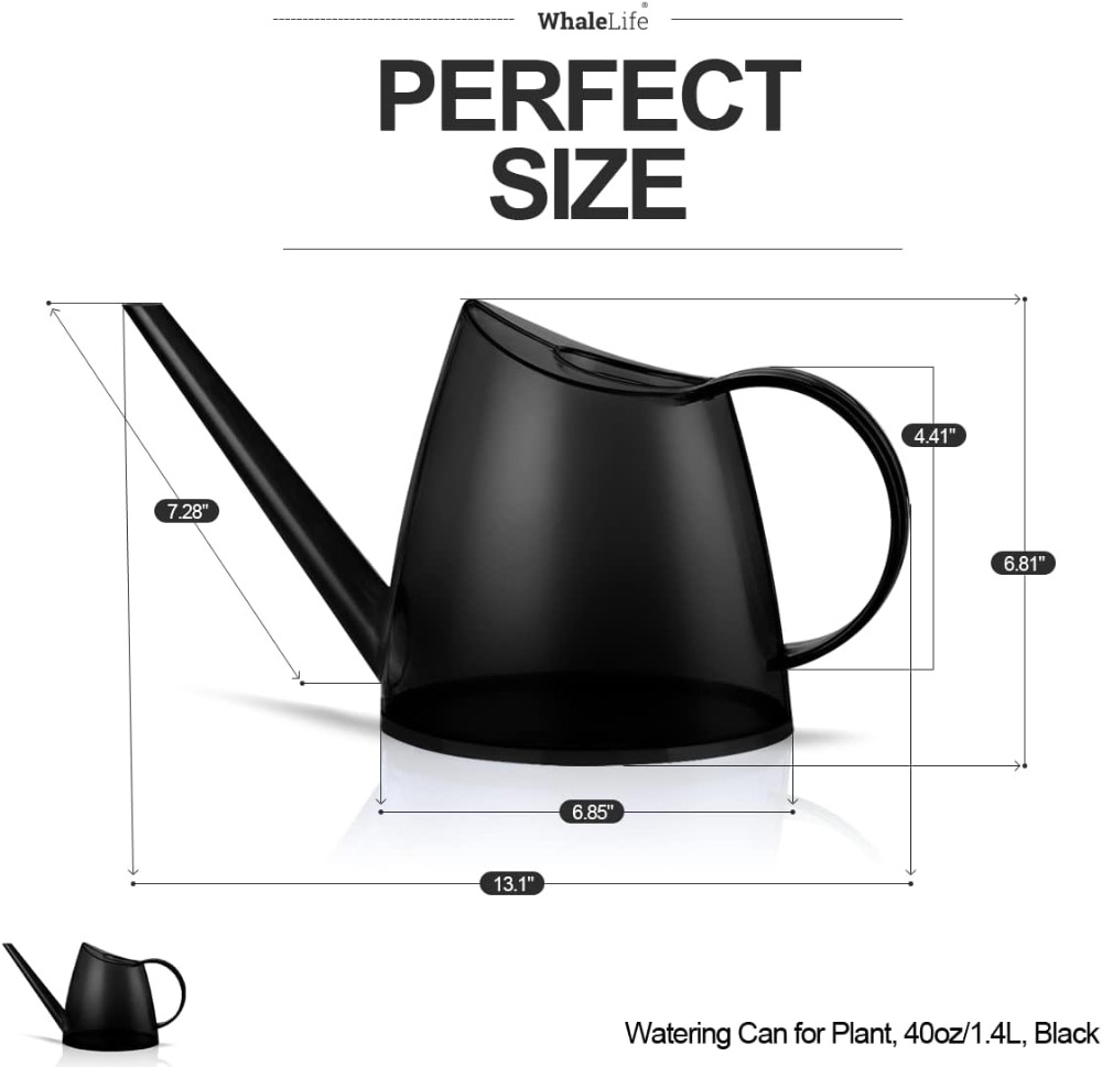 Small Indoor Watering Can for  - đánh giá và giá Watering Can Long Spout