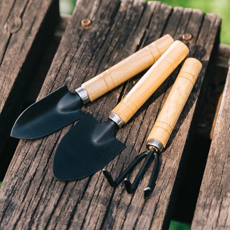 3PCS Planting Tools Mini Diggi - đánh giá và giá Gardening Tools For Digging