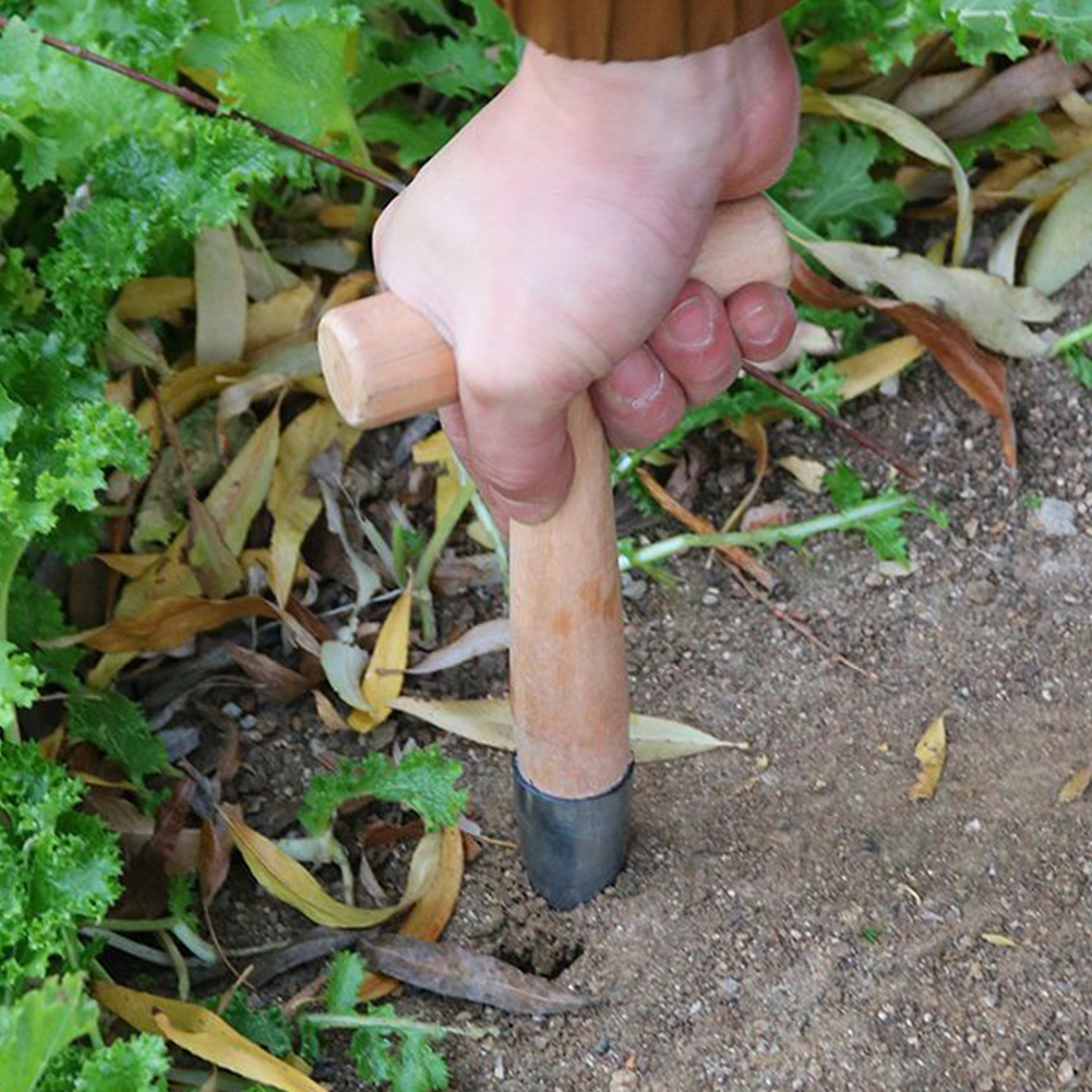 Hand Dibber Garden Tool Stainl - đánh giá và giá Gardening Tools For Digging