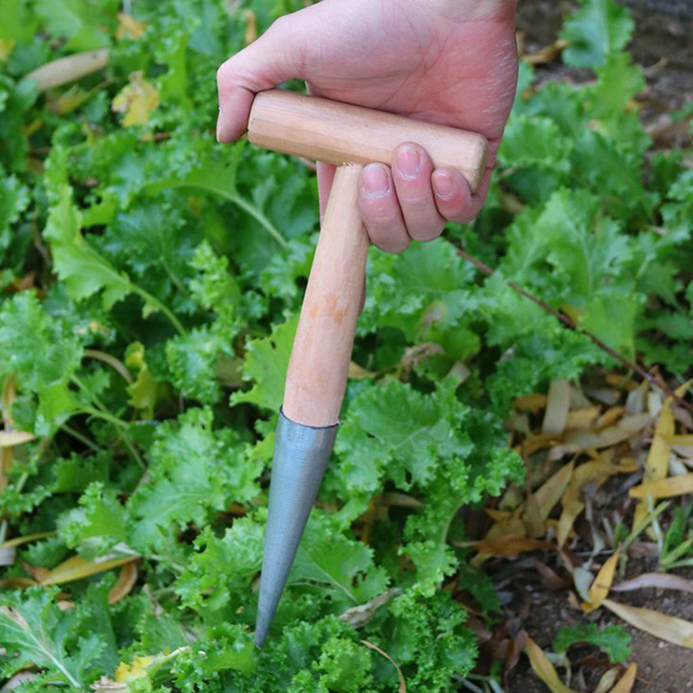 Hand Dibber Garden Tool Stainl - đánh giá và giá Gardening Tools For Digging