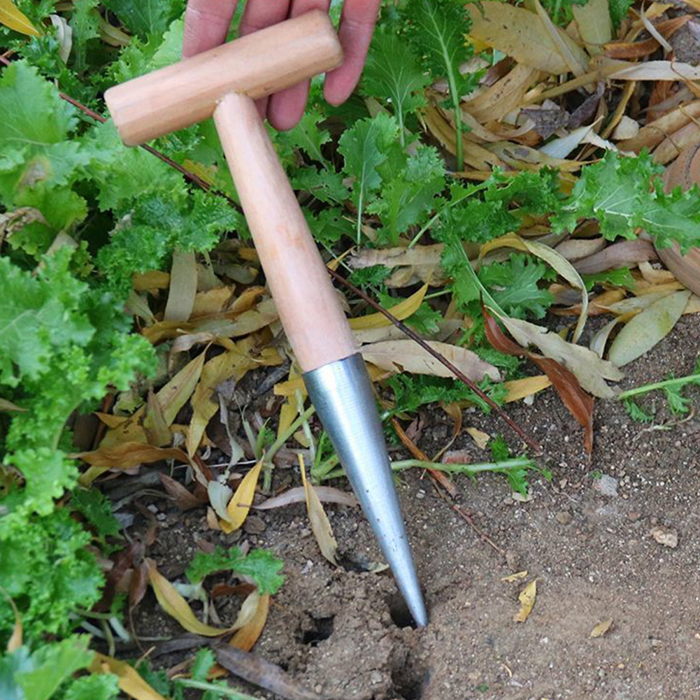 Hand Dibber Garden Tool Stainl - đánh giá và giá Gardening Tools For Digging