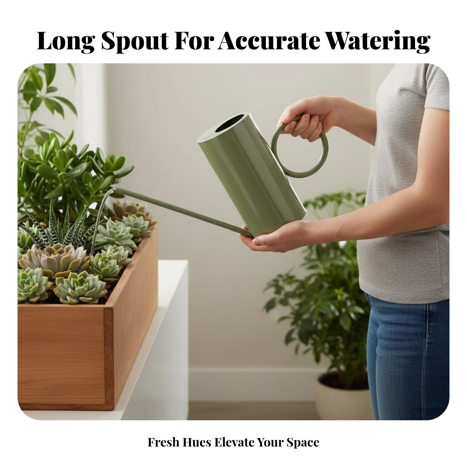 Long Spout Watering Can 1.5L C - đánh giá và giá Watering Can Long Spout