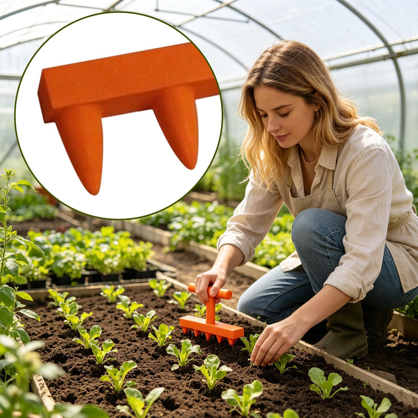 Five-Tooth Seedling Dibbling T - đánh giá và giá Gardening Tools For Elderly
