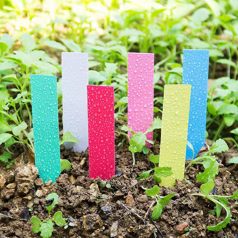100Pcs Garden Plant Labels Pla - đánh giá và giá Plant Label Tags