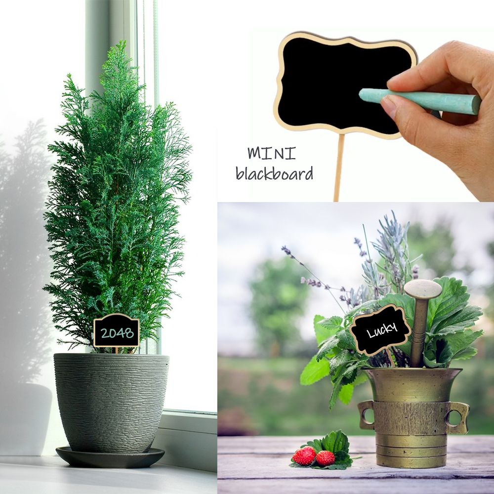 10PCS Wood Mini Chalkboard Sig - đánh giá và giá Plant Label Tags