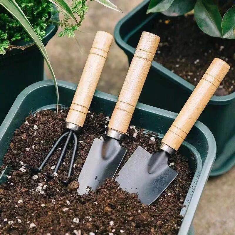 3PC/1Set  Mini Gardening Tools - đánh giá và giá Gardening Tools Shovel