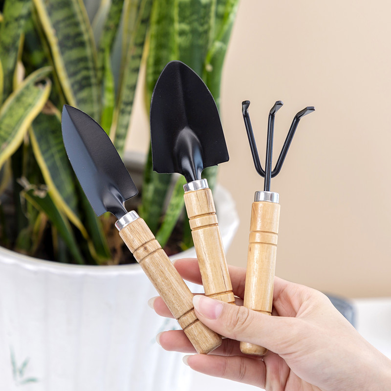 3PC/1Set  Mini Gardening Tools - đánh giá và giá Gardening Tools Shovel