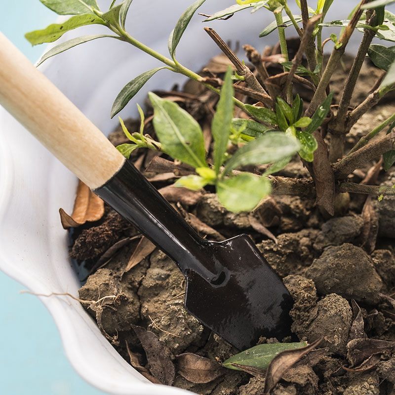 3PC/1Set  Mini Gardening Tools - đánh giá và giá Gardening Tools Shovel