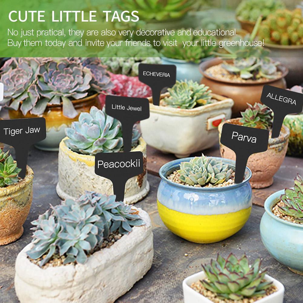 10/25pcs Garden Plant Labels P - đánh giá và giá Plant Label Tags
