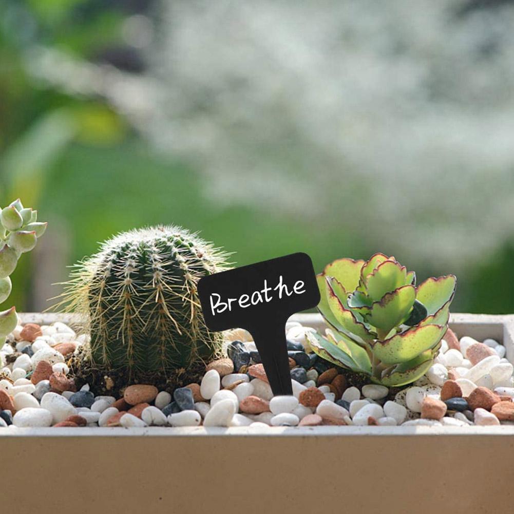 10/25pcs Garden Plant Labels P - đánh giá và giá Plant Label Tags