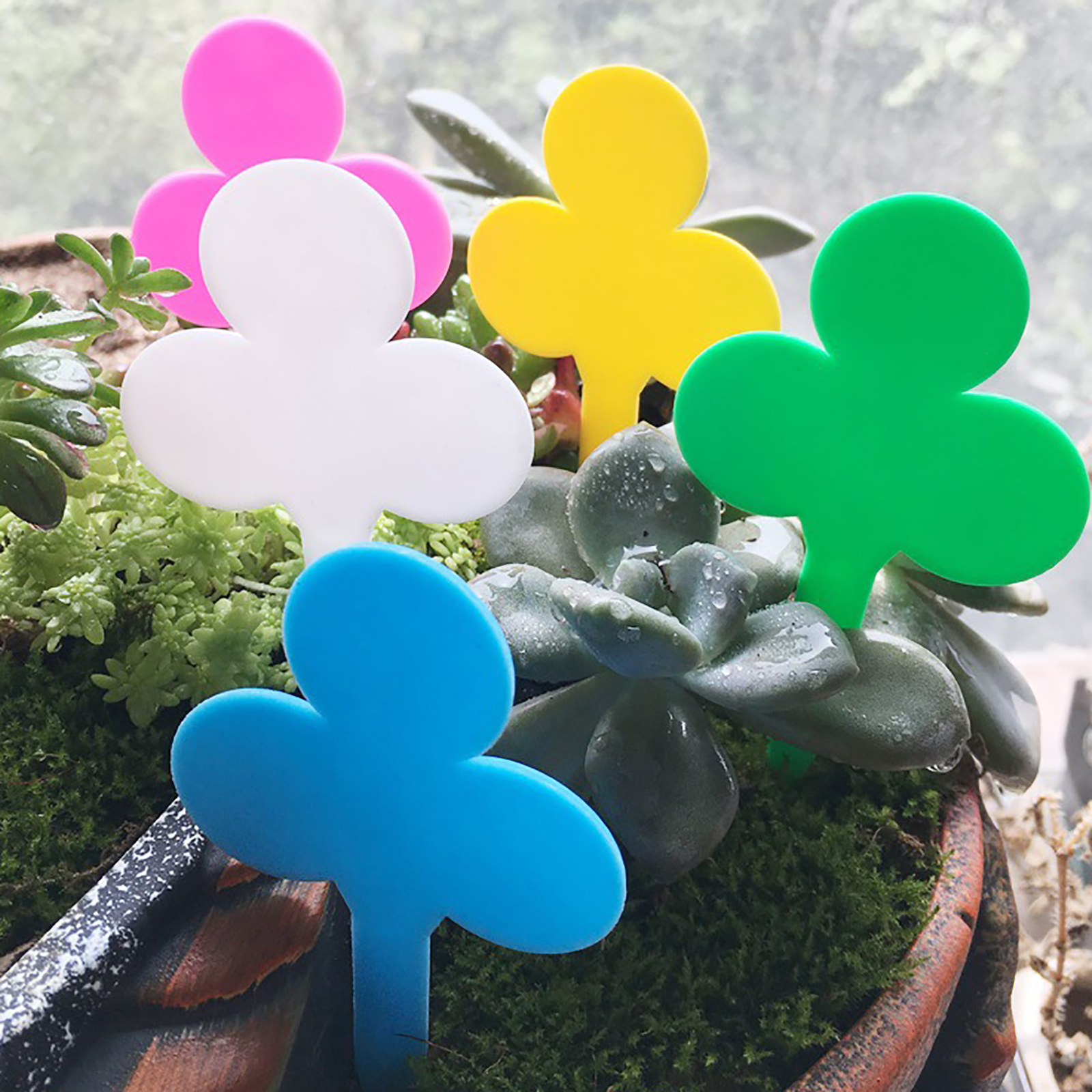 50/100Pcs Plant Labels Garden  - đánh giá và giá Plant Label Tags