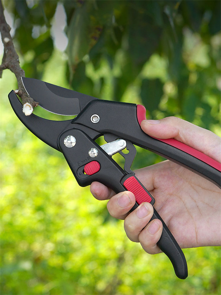 Ratchet Pruning Shears Heavy D - đánh giá và giá Gardening Tools For Elderly