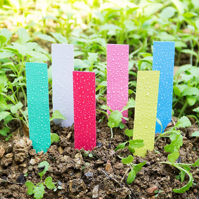100pcs Thick 4inch Plant Label - đánh giá và giá Plant Label Tags
