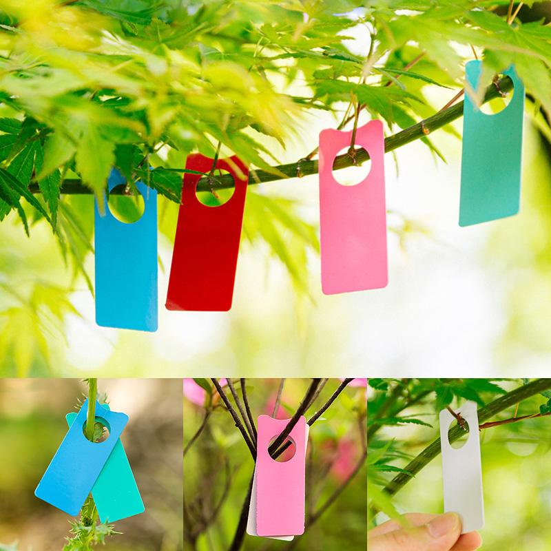 100Pcs Multifunction Plastic T - đánh giá và giá Plant Label Tags