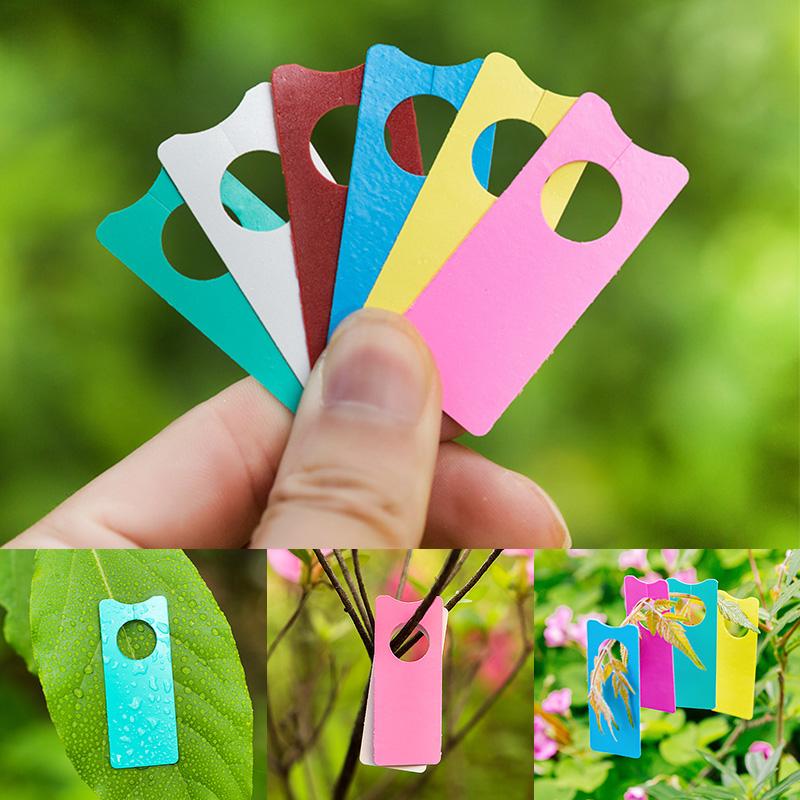 100Pcs Multifunction Plastic T - đánh giá và giá Plant Label Tags