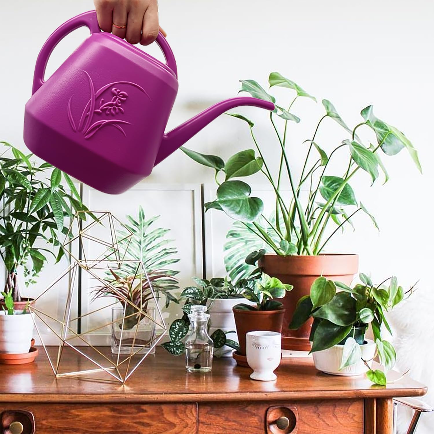 Plant Watering Can 1/2 Gallon  - đánh giá và giá Watering Can Long Spout