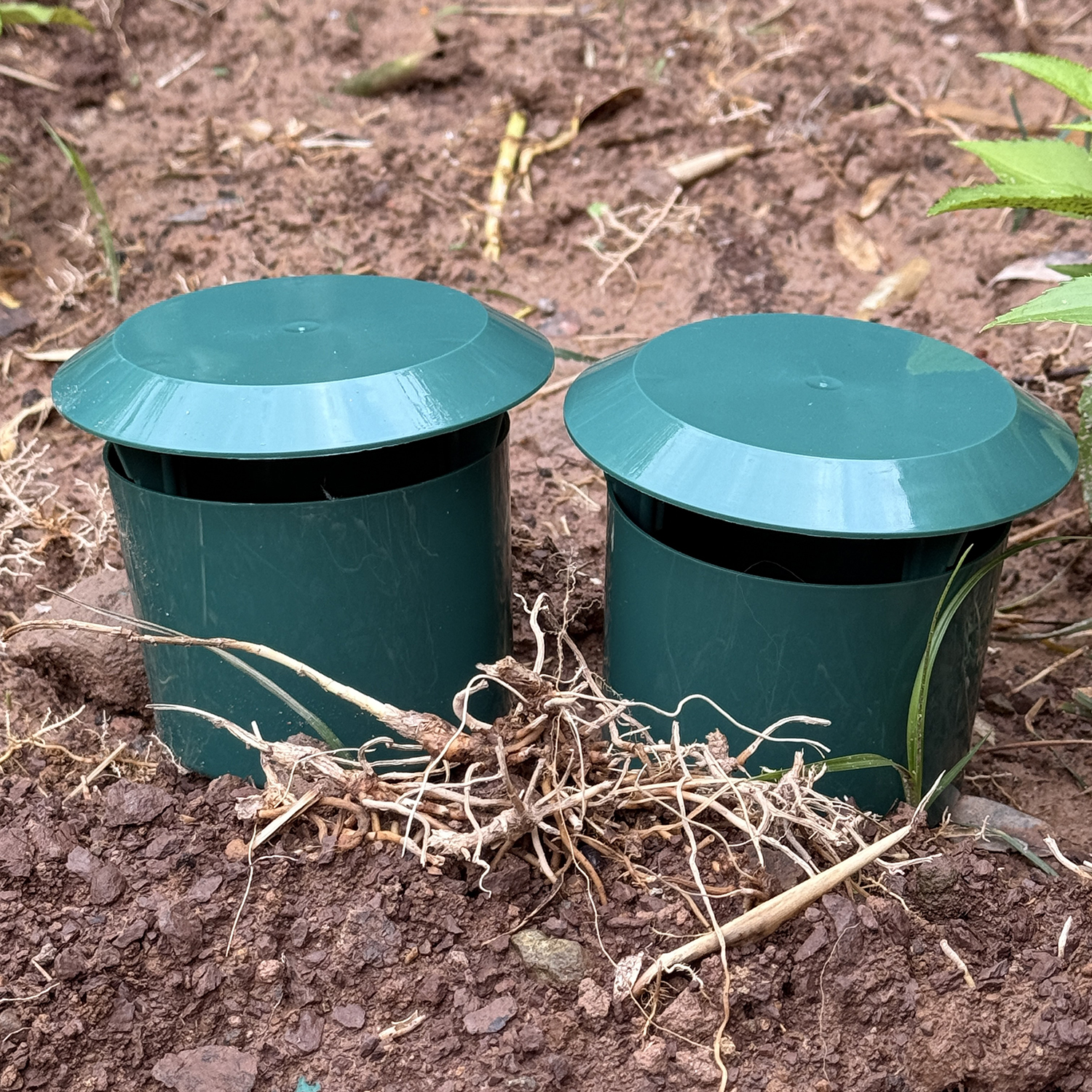 1-12pcs Eco-friendly Slug Hous - đánh giá và giá Gardening Tools Toolstation