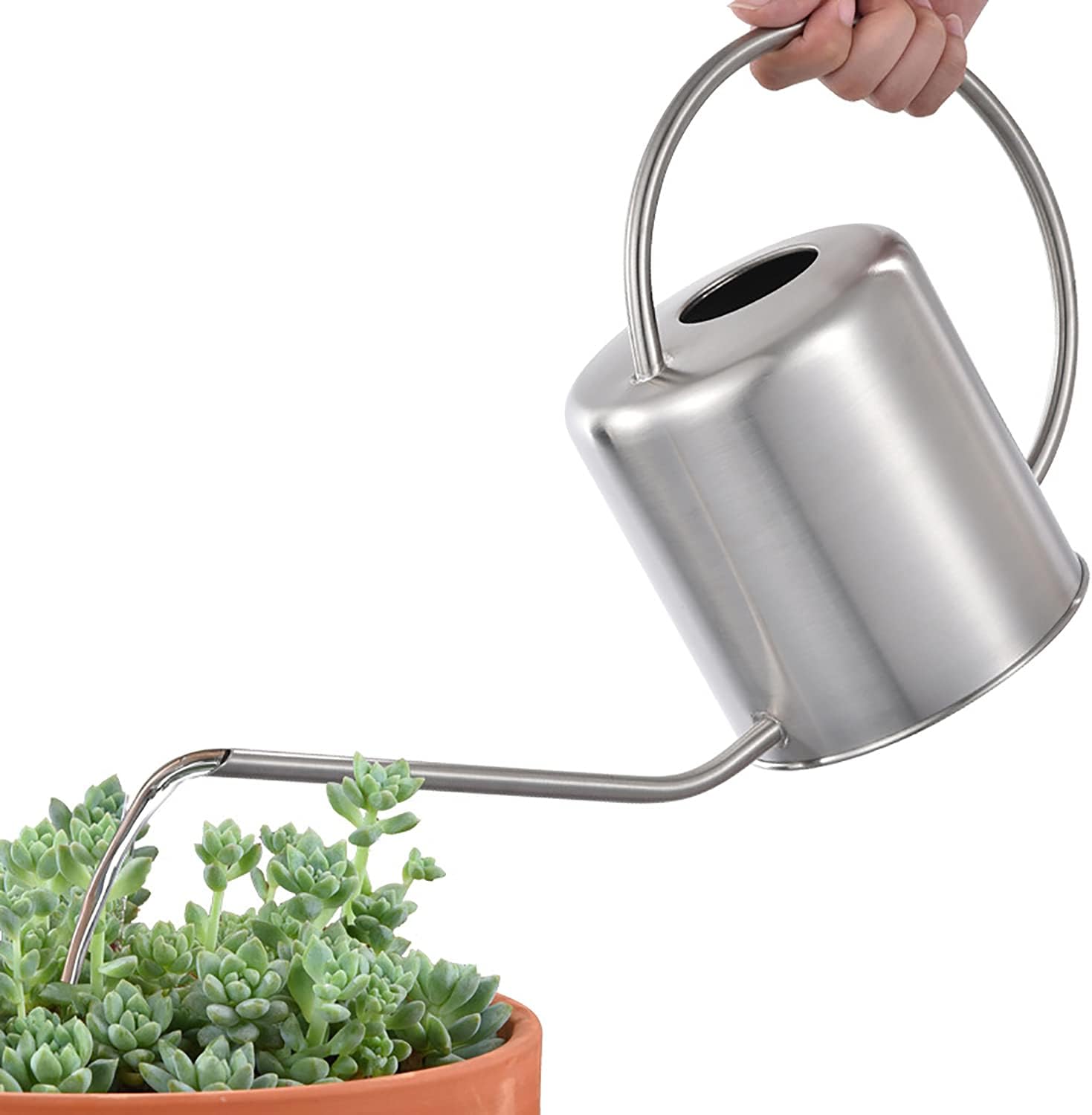 51 oz Stainless Steel Watering - đánh giá và giá Watering Can Long Spout