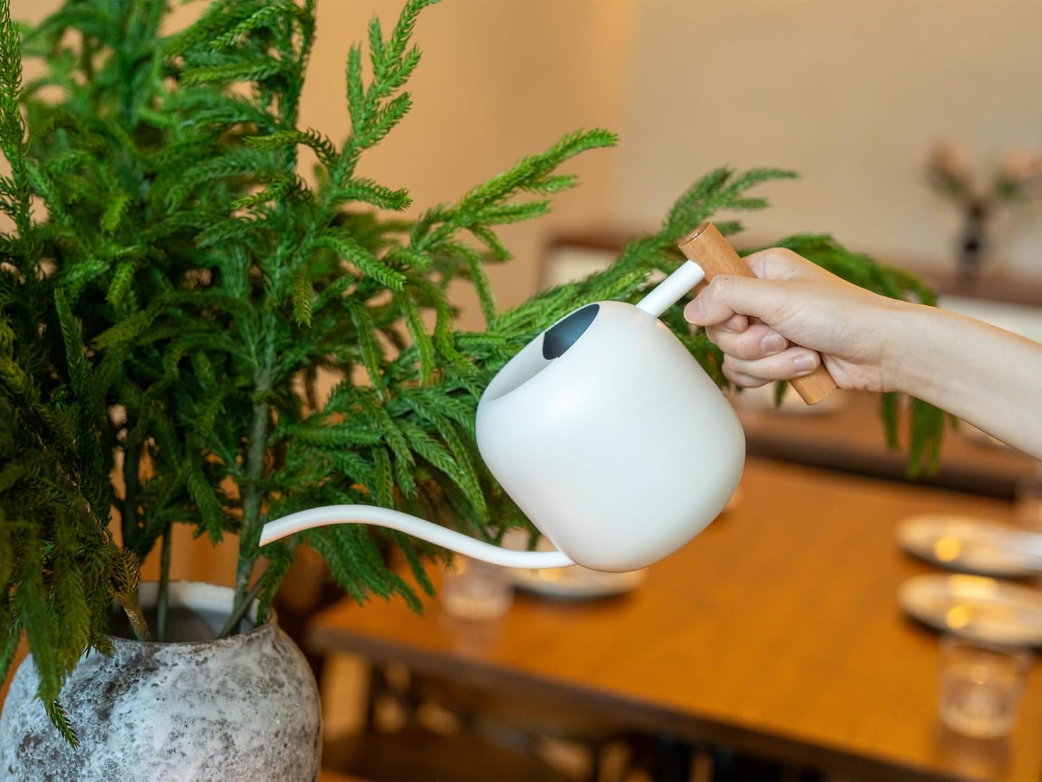 1.2L/41oz Metal Watering Can w - đánh giá và giá Watering Can Long Spout