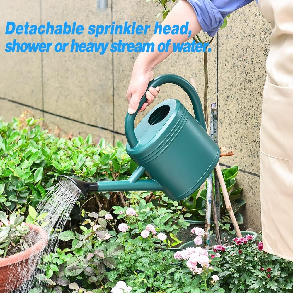 1 Gallon Watering Can for Indo - đánh giá và giá Watering Can Long Spout
